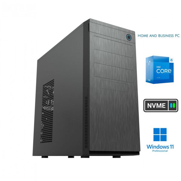 Business i5-13400 32GB 256GB NVME SSD Windows 11 Professional