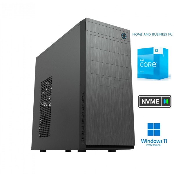 Business i3-13100 8GB 256GB NVME SSD Windows 11 Professional